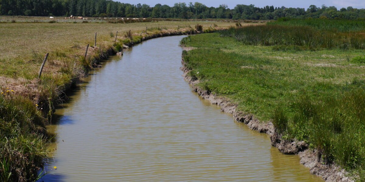 marais breton tourisme durable