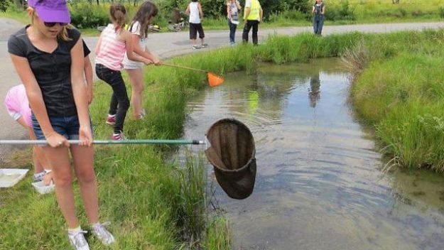 peche dans les etiers sallertaine st jean de monts