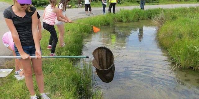 peche dans les etiers sallertaine st jean de monts