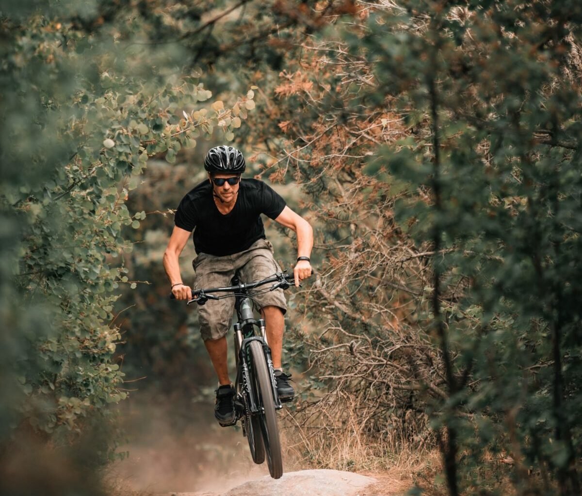 adventure-cyclist-forest-1625984-min vendée à vélo