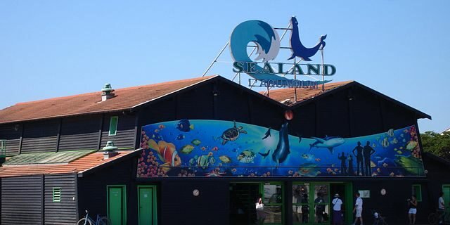 Que faire saint-jean-de-monts